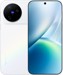 Vivo X500